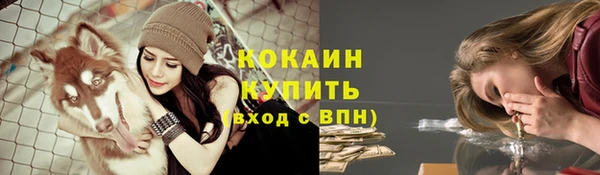 мет Липки