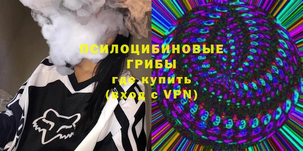 ПСИЛОЦИБИНОВЫЕ ГРИБЫ Лихославль