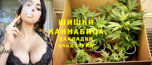ПСИЛОЦИБИНОВЫЕ ГРИБЫ Лихославль